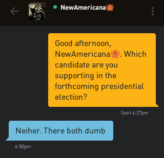 Me: Good afternoon, NewAmericana?. Which candidate are you supporting in the forthcoming presidential election? NewAmericana?: Neiher. There both dumb