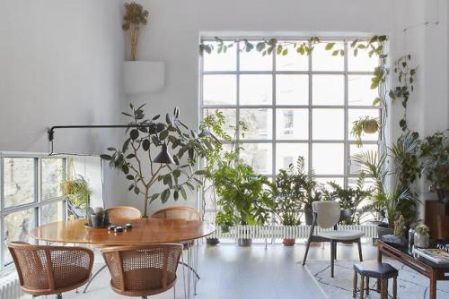 gravityhome:Light plant-filled loft apartmentFollow Gravity...