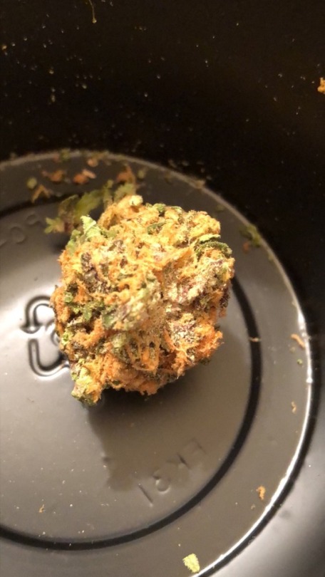 Orange Hairs Tumblr Posts Tumbral Com