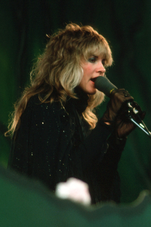 crystallineknowledge:Stevie Nicks at the ‘Day On The Green...