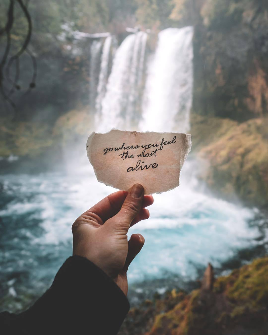 Go where you feel most alive