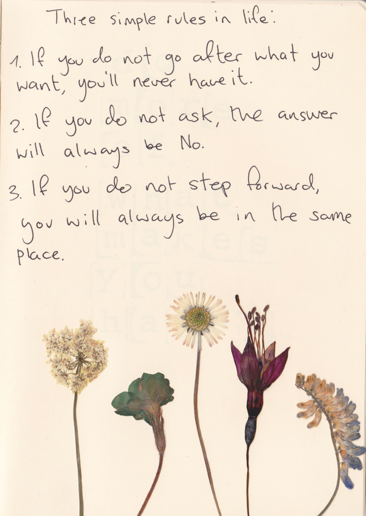 Three simple rules in life - From my rotting body, flowers ...
