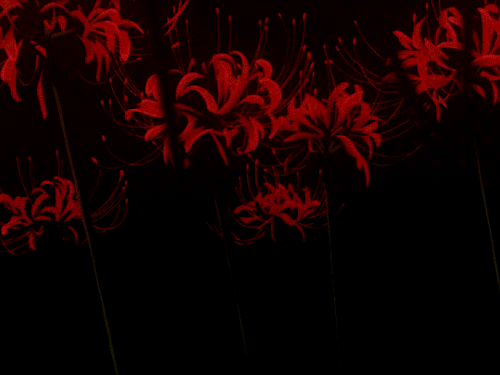 27++ Anime Red Spider Lily Wallpaper - Anime Top Wallpaper