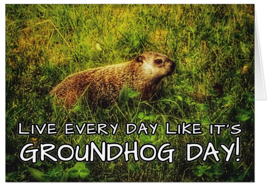 Live every day like it's Groundhog Day greeting card