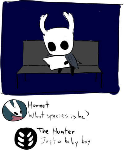 hollow knight hunter journal