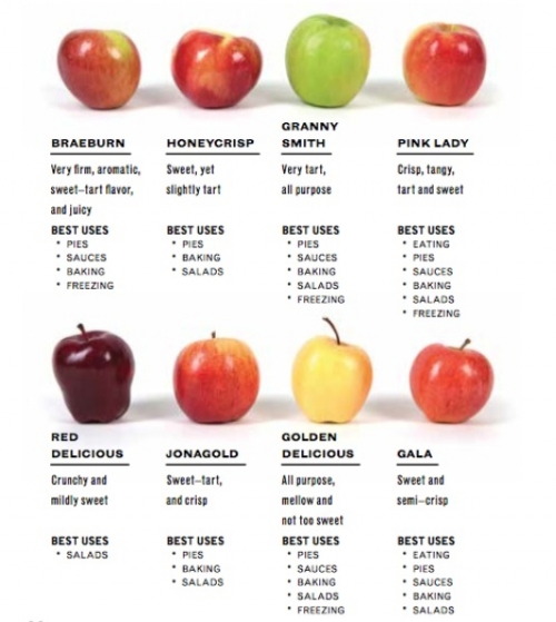 Apples To Apples Chart