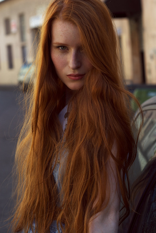 Redhead Beauties