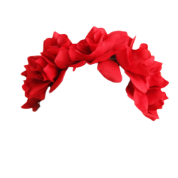 Download Aesthetic Red Flower Crown Png | PNG & GIF BASE