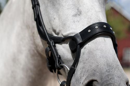 ottbs:bridle / swarovski attachment 