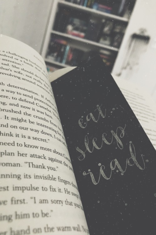 bigdreamsandwildthings