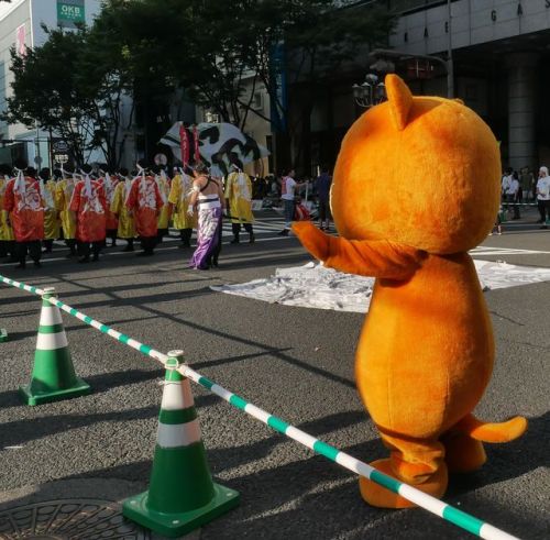 Japanese Mascot Photograph Yuruchara Jp 中部電力の カテエネコ いわゆるポイントサービスのマスコット キャラクター