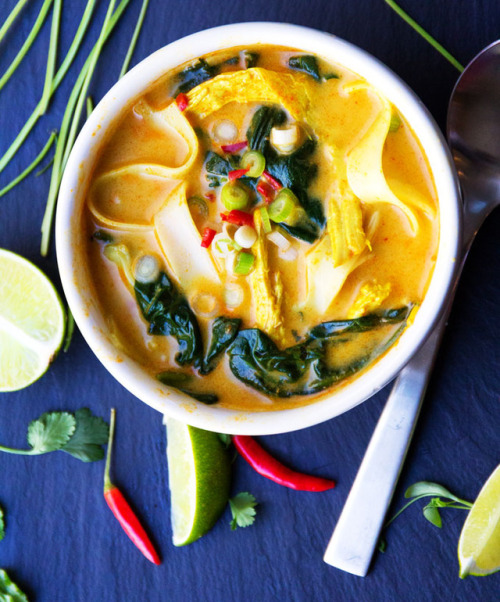 Coconut Curry Chicken Soup