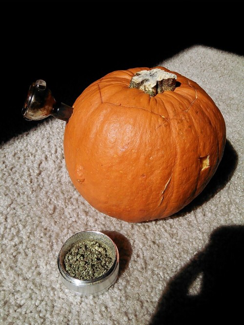 mindsetofdelinquents:Made a pumpkin bowl/bong 