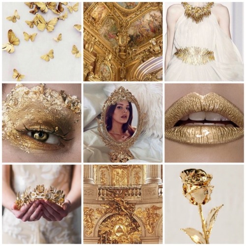 white and gold on Tumblr