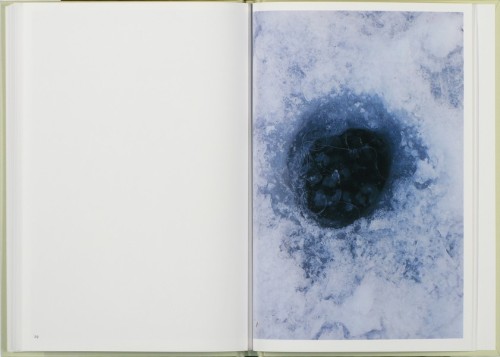 vjeranski:In Our Nature. Photographs by Takashi Hommavia