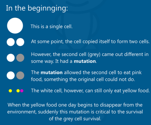 sixpenceee:Informal infographic depicting evolution 