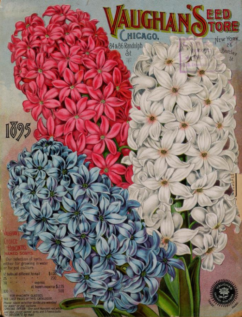 theillustratedmagazine