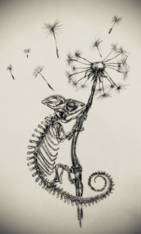 flower skull drawing | Tumblr