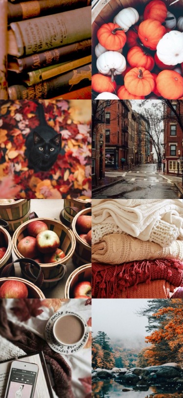 autumn wallpaper  on Tumblr 
