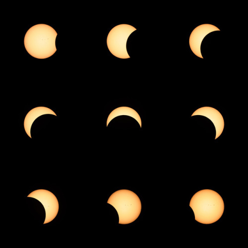 Stages of Solar Eclipse of 2017 seen from Toronto. 