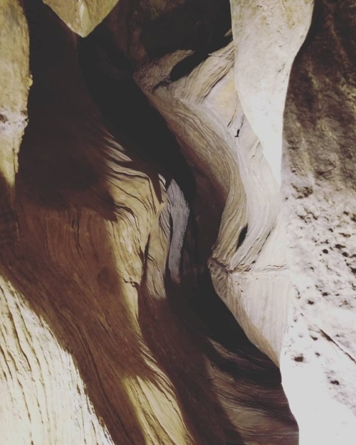 Looking up (at Howe Caverns)