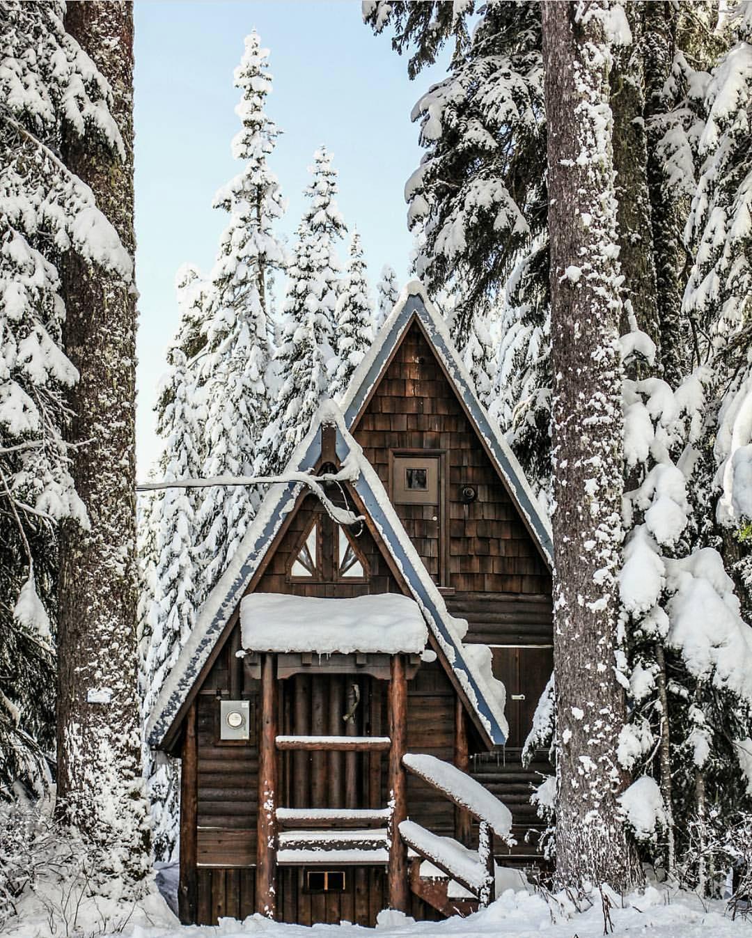 Cocoa Cabins cabins cocoa cabins cocoa cabin cabins outdoors Cocoa Cabins cabins cocoa cabins cocoa cabin cabins outdoors