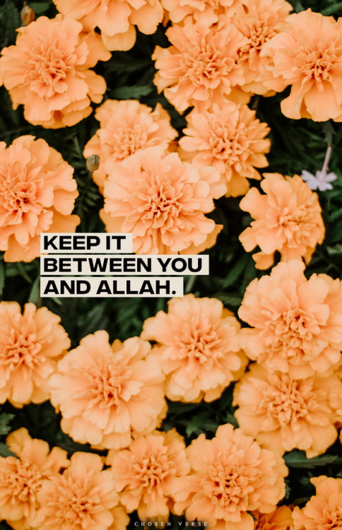 allah on Tumblr