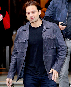 sebastian stan is our life