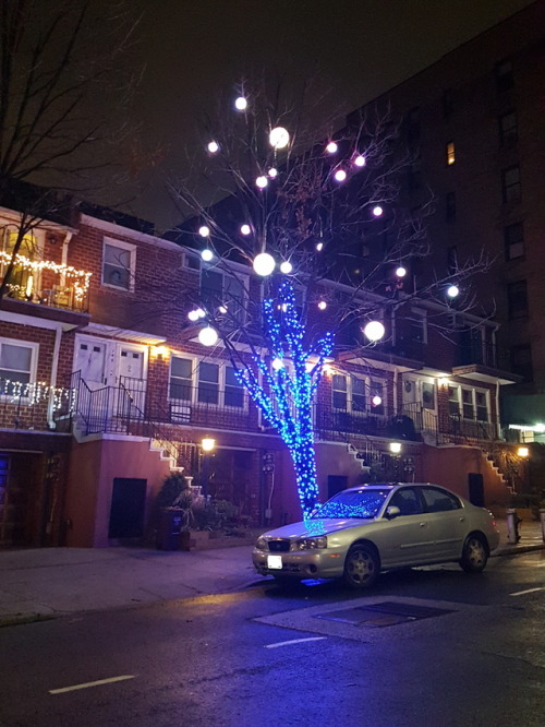 Christmas in Brooklyn