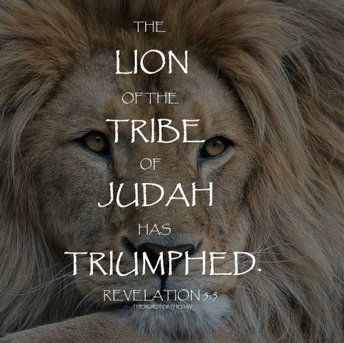 lion of judah on Tumblr