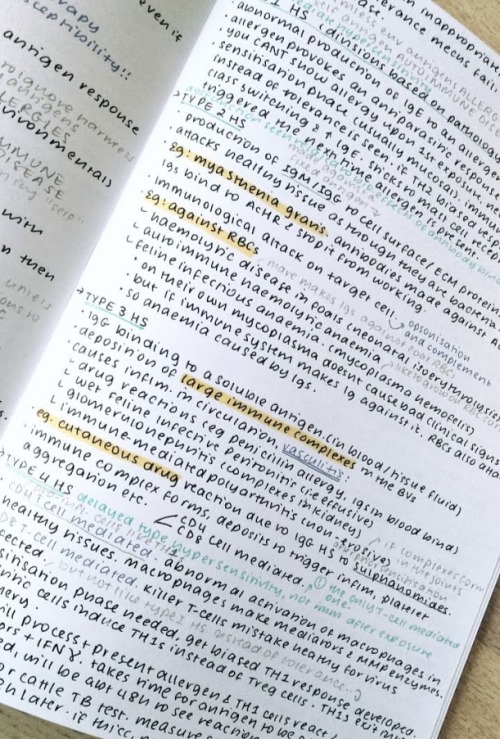 studywithyashu