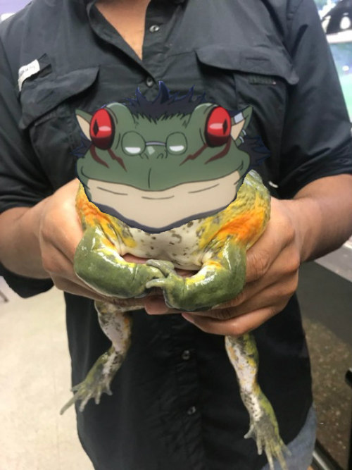 bunngygoblin