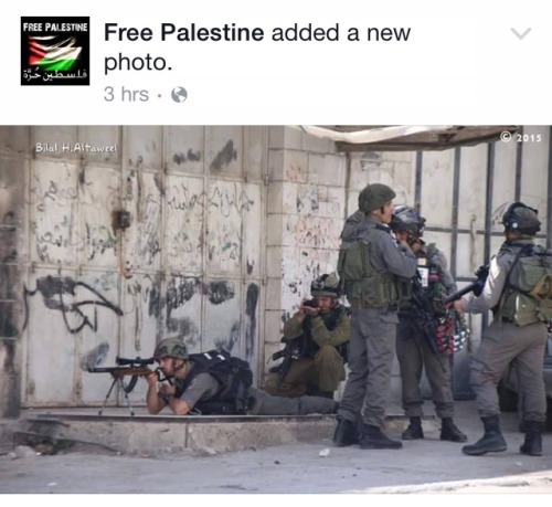 occupywatchdog:#freepalestine - Palestinian kids/youth don’t...