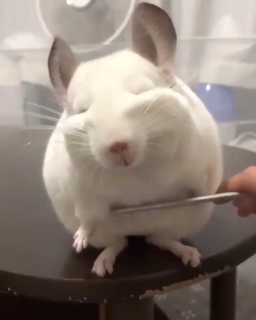 hitmewithcute:Awww yiss