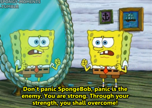 Image result for spongebob don't panic