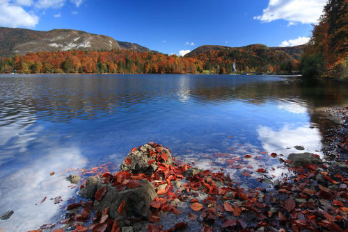 traveltoslovenia:LAKE BOHINJ, Slovenia - Slovenia’s largest...