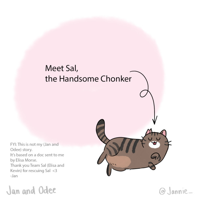 Sal is looking for a special kind of forever home. Can you help him? Contact Team Sal (Elisa + Kevin): wooel27@gmail.com for...