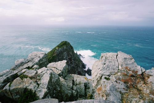 it-mii:Cape of Good Hope, South Africa