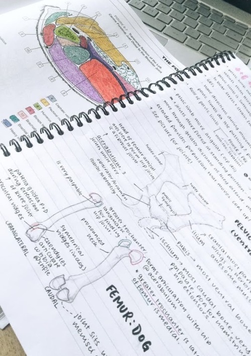 studywithyashu