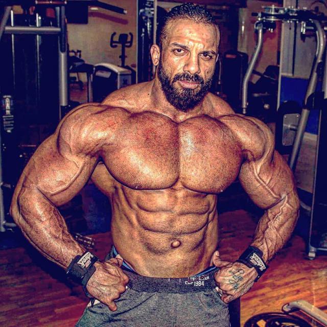 Arab Muscle Dreamz Myfavoritemuscle