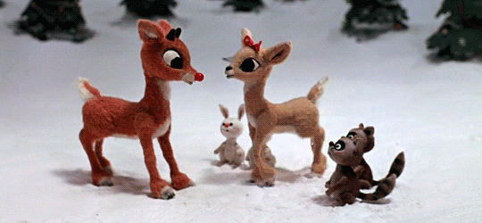 [Image: tumblr_pipa56LFwU1ws7nwdo3_r1_540.gif]