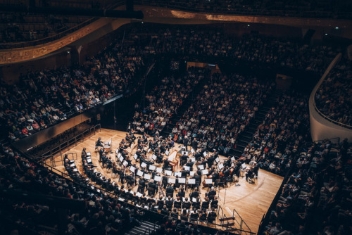 berlinphil:Spannende PerspektivenFascinating perspectivesby...