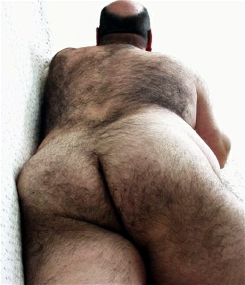 joeledb:10 of the most beautiful hairy ass from the internet