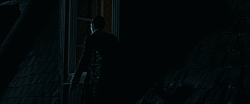 bonniebirddoesgifs