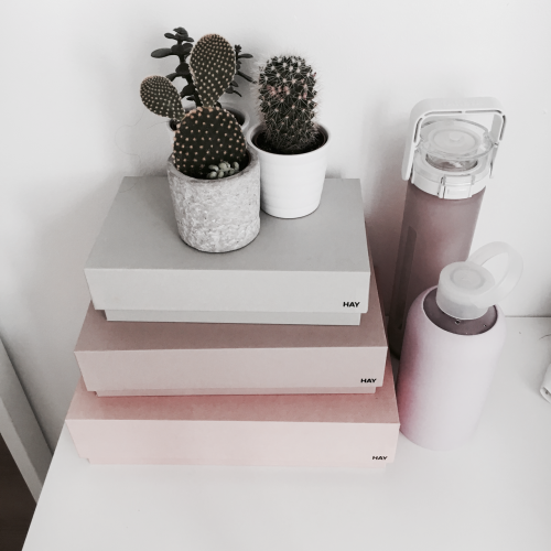 studyfulltime:12|10 pink on pink on pink….i had a really good...