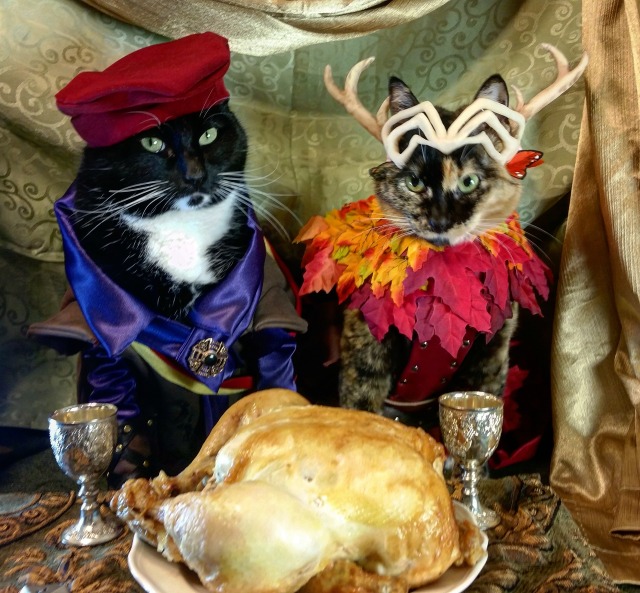 the cosplay Happy cat the cosplay Happy cat