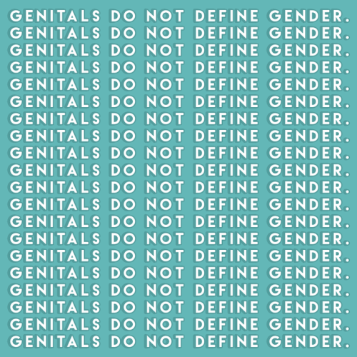 genitals genesis 8