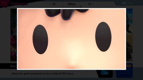 thevideogameshutterbug