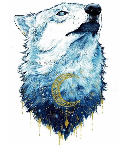 wolf art on Tumblr