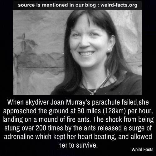 Weird Facts, When skydiver Joan Murray’s parachute failed, she...